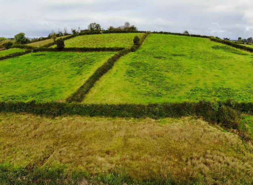 18.8 Acres @ Tullyvar Road, Aughnacloy, BT69 6BN