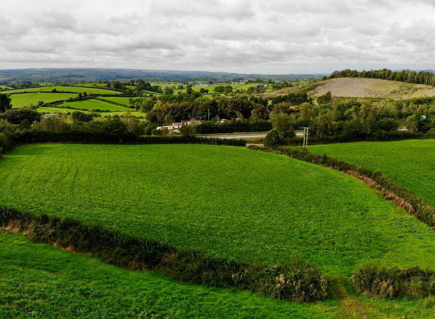18.8 Acres @ Tullyvar Road, Aughnacloy, BT69 6BN