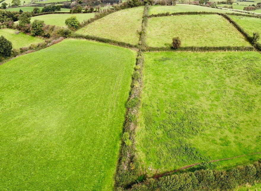 18.8 Acres @ Tullyvar Road, Aughnacloy, BT69 6BN