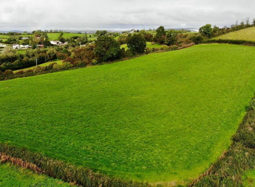 18.8 Acres @ Tullyvar Road, Aughnacloy, BT69 6BN