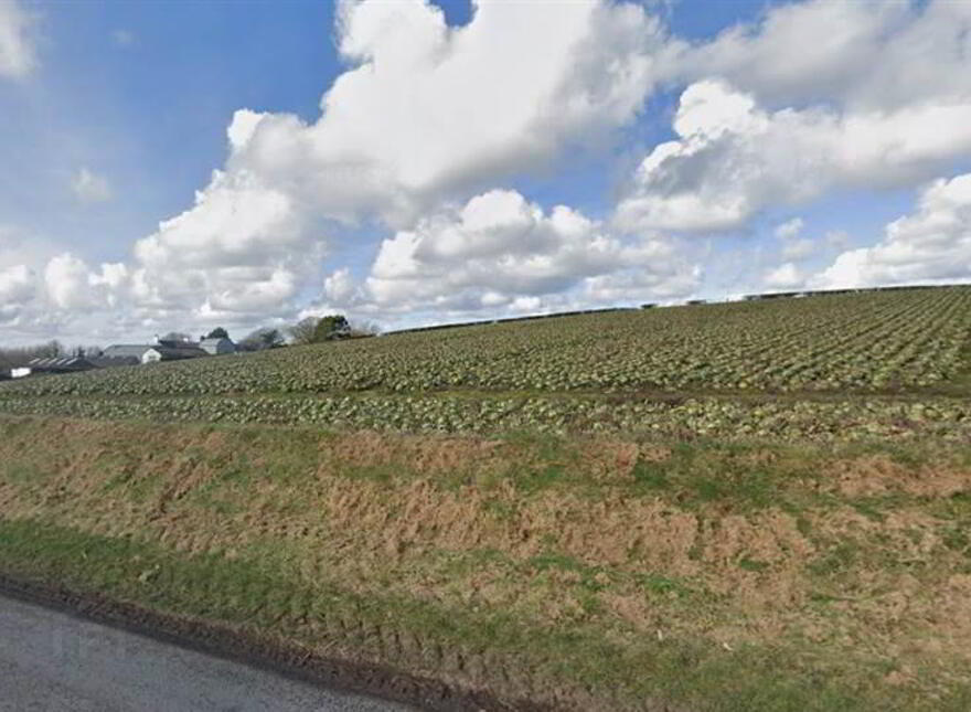 11.8 Acres, Agric Land, Finlays Road, Newtownards, BT23 8SW
