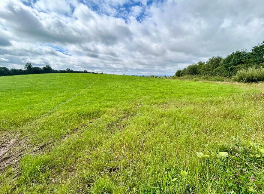 Goland Road, Ballygawley, Dungannon, BT70 2LB