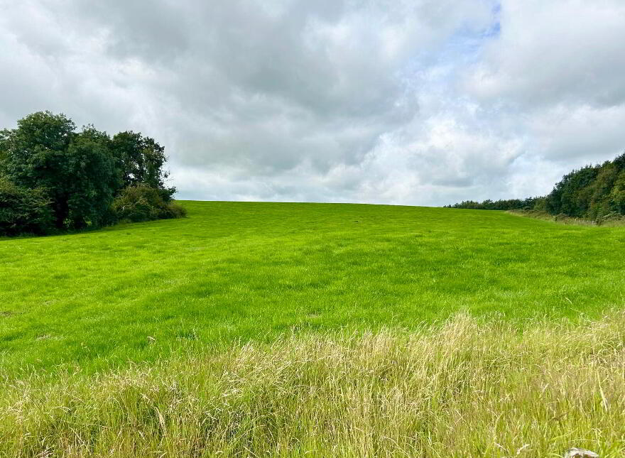Goland Road, Ballygawley, Dungannon, BT70 2LB