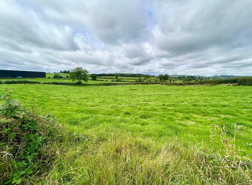 Goland Road, Ballygawley, Dungannon, BT70 2LB