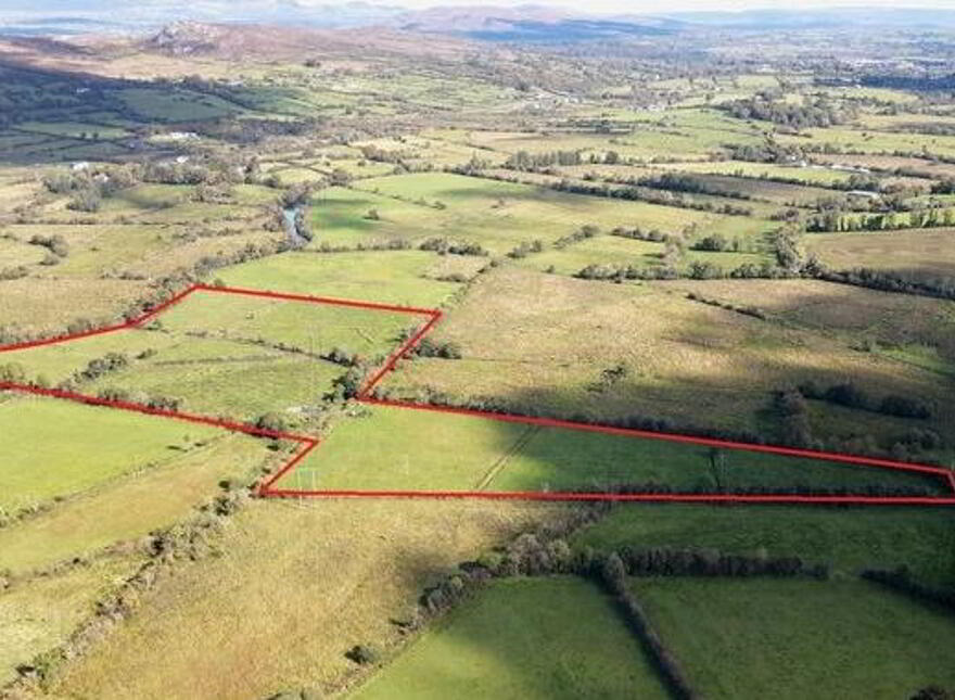 Bella, Collooney, Sligo photo