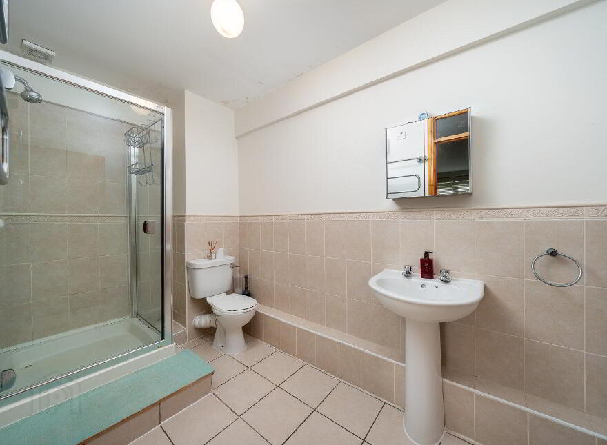 6 Anville Place, Anvil Court, New Street, Longford Town, N39E627
