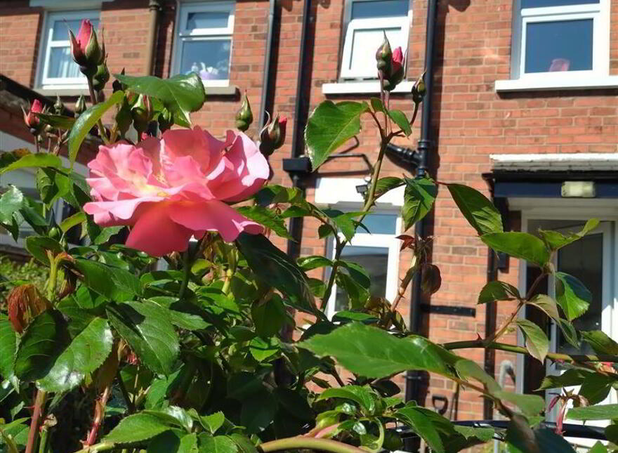 23 Seabourne Parade, Belfast, BT15 3NP