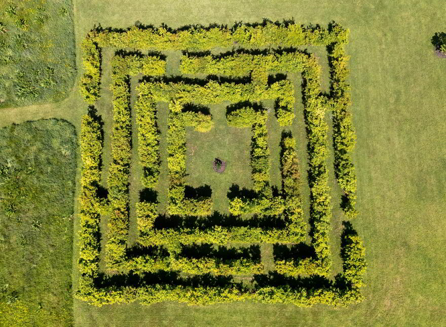 Caherbrack, Ballinamult, E91PX74