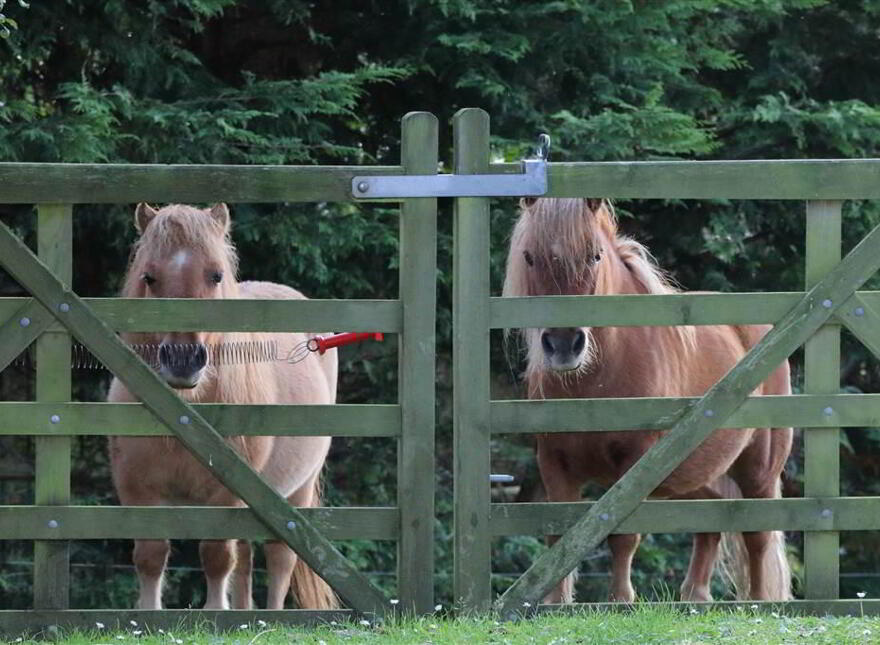 Beaumont, 47a Tullynagee Road, Comber, BT23 5SE