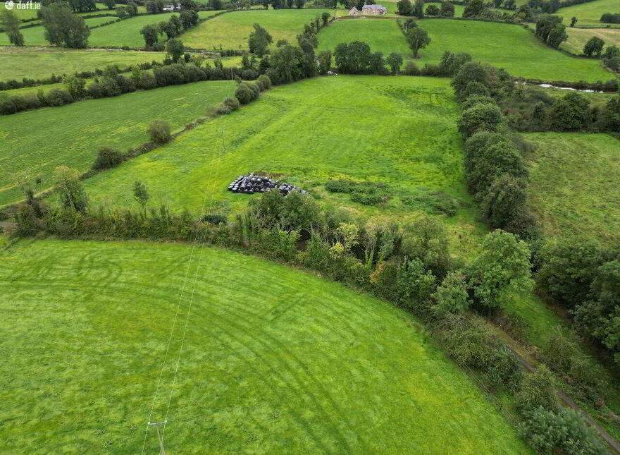 Clonkeen, Clones