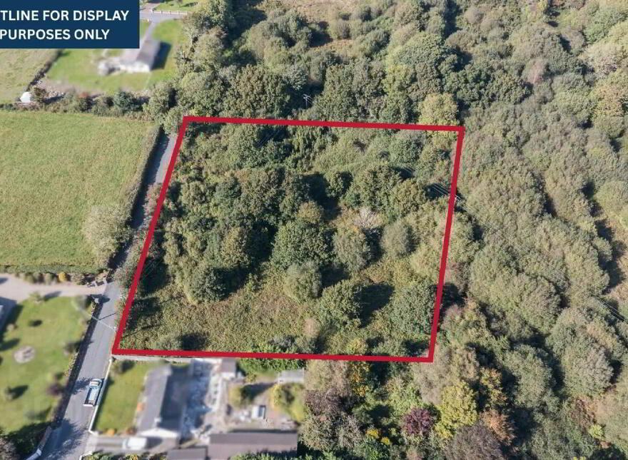 1.96 Acres Of Land, Folio No, Butlerstown, WD11959