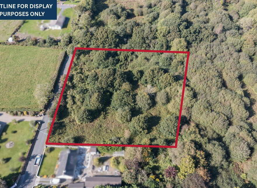 1.96 Acres Of Land, Folio No, Butlerstown