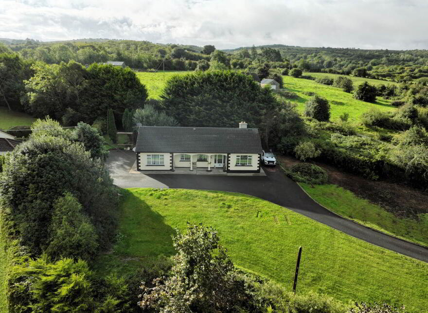 Kinnabo, Blacklion, F91W8D3