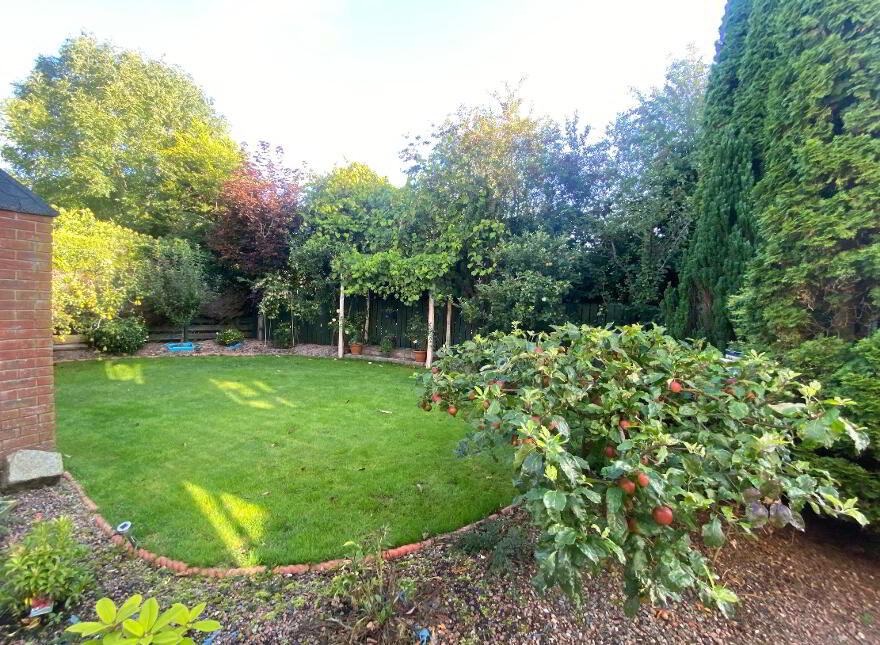 41 The Rowans, Banbridge, BT32 4DQ