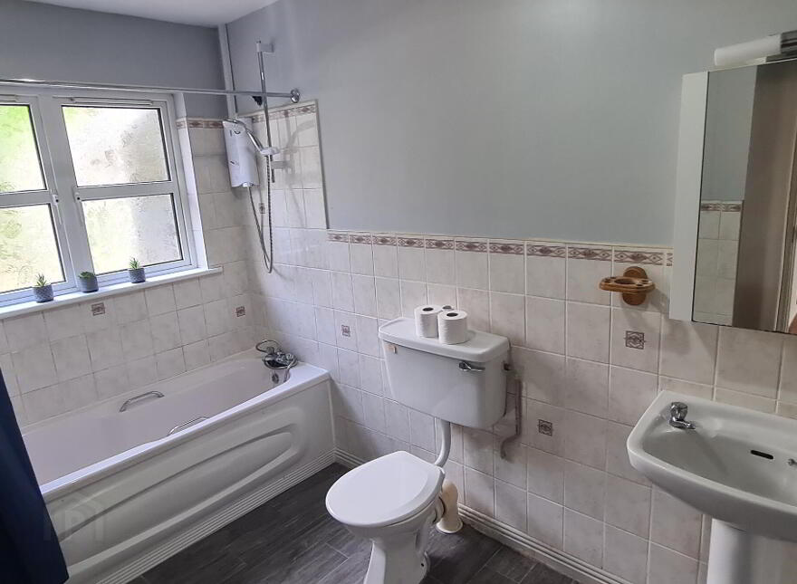 1 Mount Temple, Summerhill, Carrick-On-Shannon, N41F227