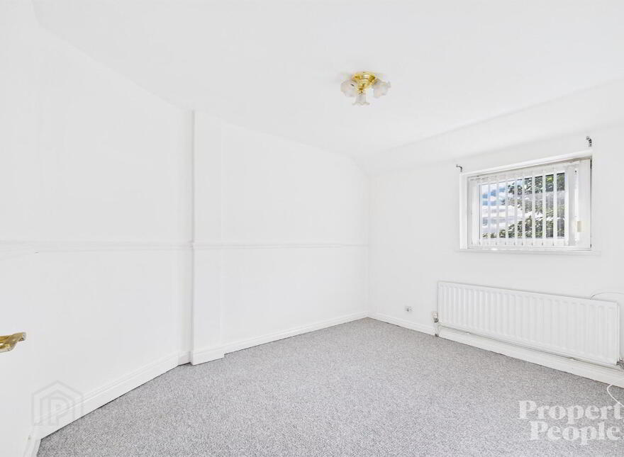 8 Deerpark Road, Belfast, BT14 7PT