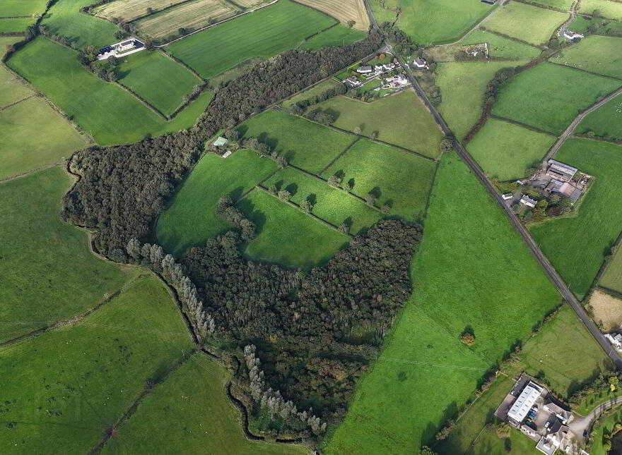 Kilmandil Road, Dunloy, Ballymena, BT44 9BH