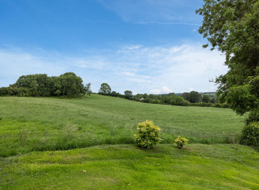 Lot 2, Lands At Killysorrell Road, Blackskull, Dromore, BT25 1LD
