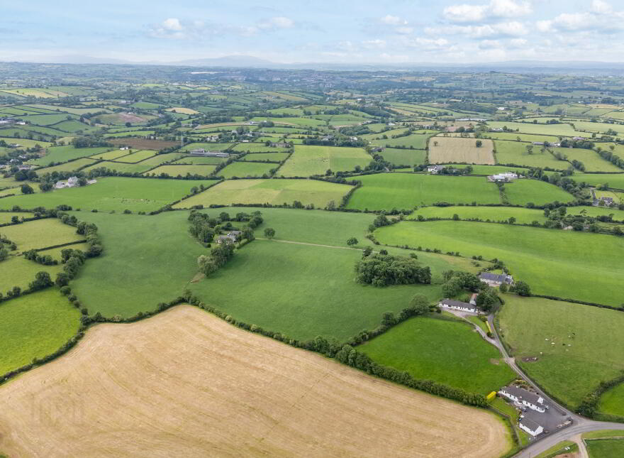 Lot 2, Lands At Killysorrell Road, Blackskull, Dromore, BT25 1LD