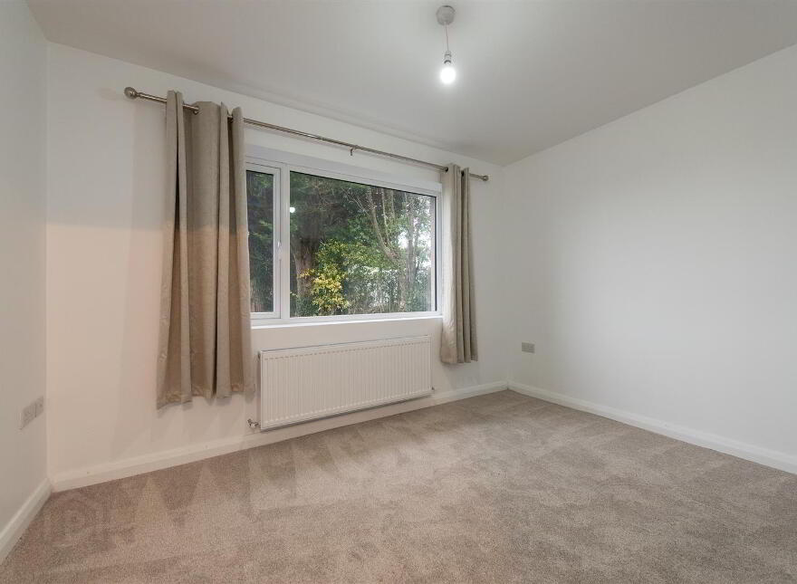 21 Scaddy Road, Downpatrick, BT30 9BW