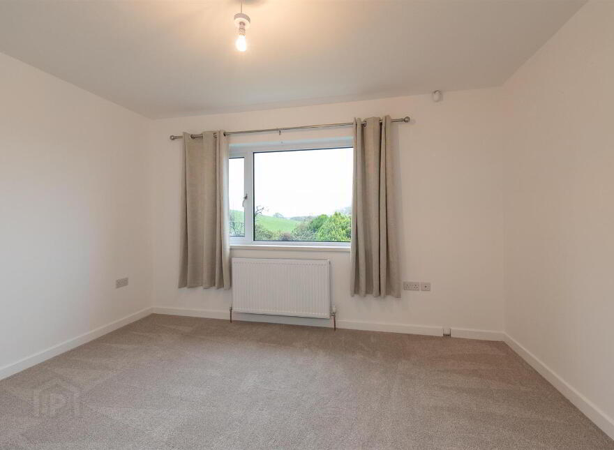 21 Scaddy Road, Downpatrick, BT30 9BW
