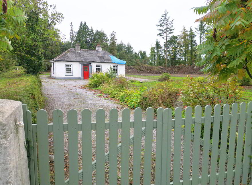Ballagh, Kilrooskey, Roscommon Town, F42PV20