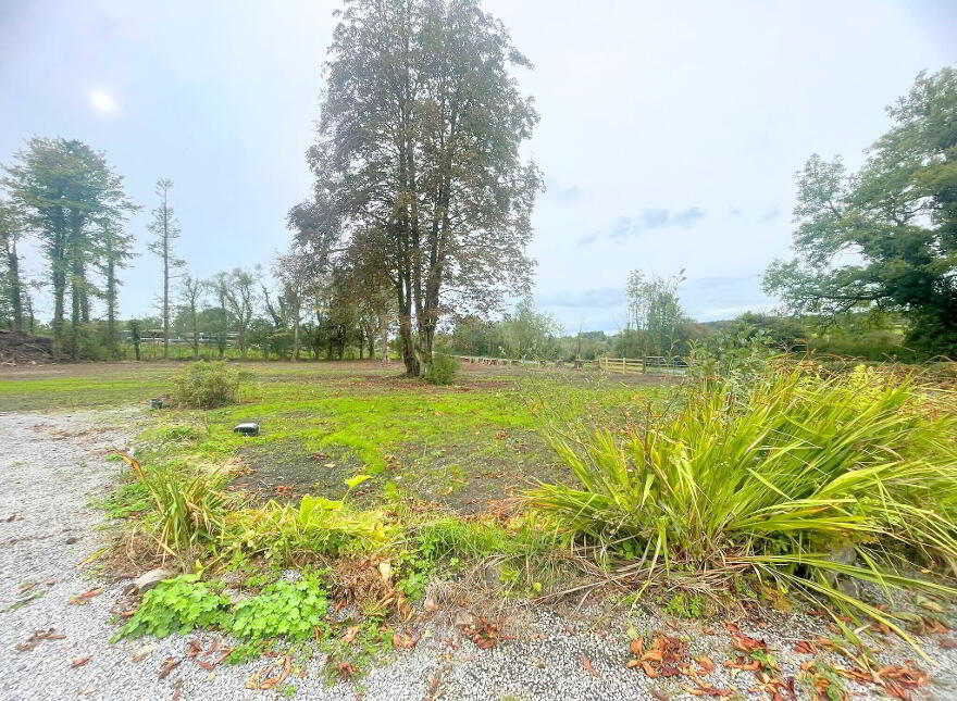 Ballagh, Kilrooskey, Roscommon Town, F42PV20