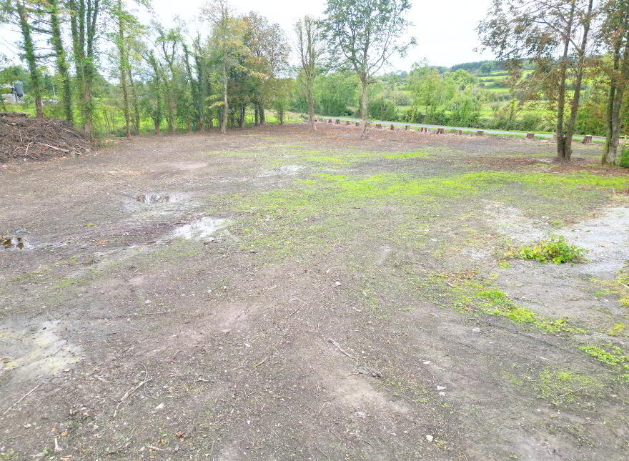 Ballagh, Kilrooskey, Roscommon Town, F42PV20