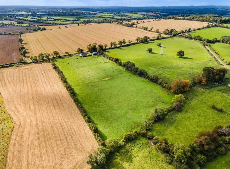Detached Residence, Yard, C.9 Acres At, Mullagha, Slane, C15FA07