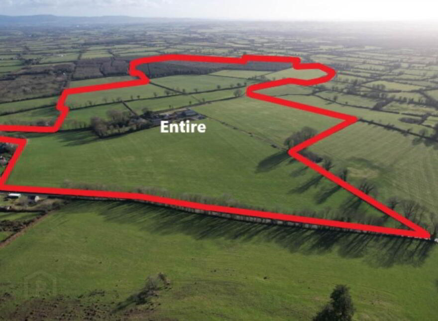 Garryfine Castle, Garryfine, Kilmallock photo