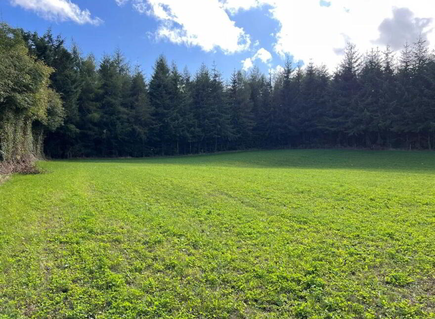6 Bed On 3 Acres, Togher Road, Fennor, Urlingford Via, Thurles, E41F8C7
