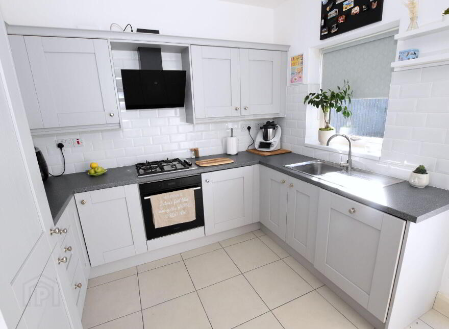 24 Alder Way, Lisburn, BT28 2SX
