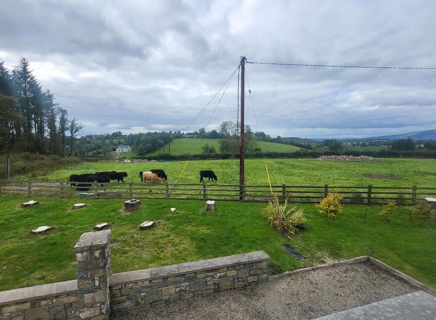 Ardagh, Fenagh, N41V4A8