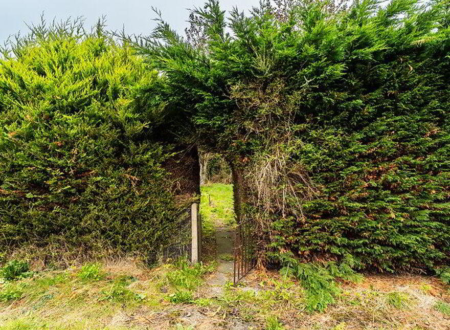 The Beesoms, Platin, Drogheda, A92V6W4