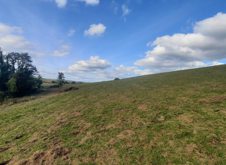 Larkhill, Ballymote, F56NN88