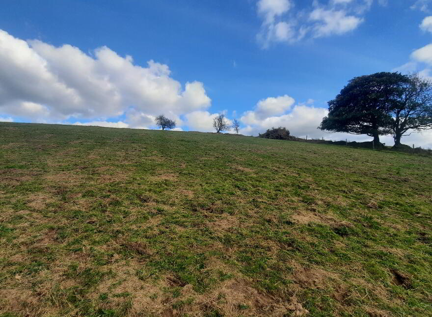 Larkhill, Ballymote, F56NN88