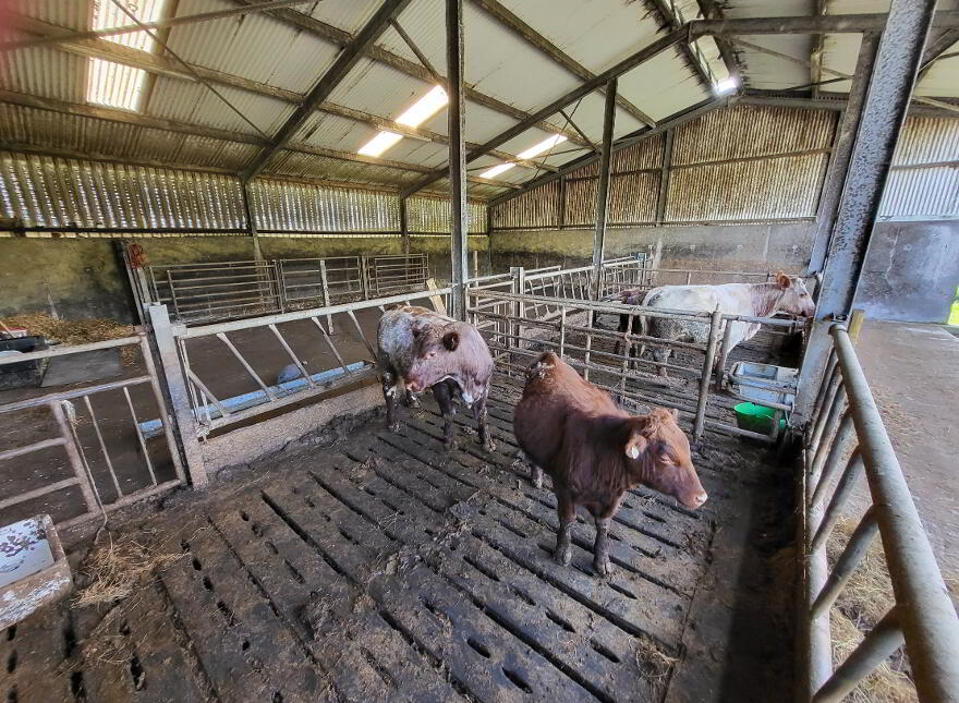Larkhill, Ballymote, F56NN88