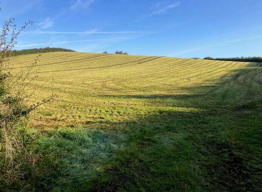 Land At, Killyfaddy Road, Magherafelt, BT45