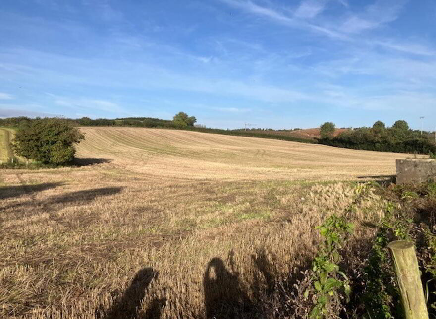 Land At, Killyfaddy Road, Magherafelt, BT45