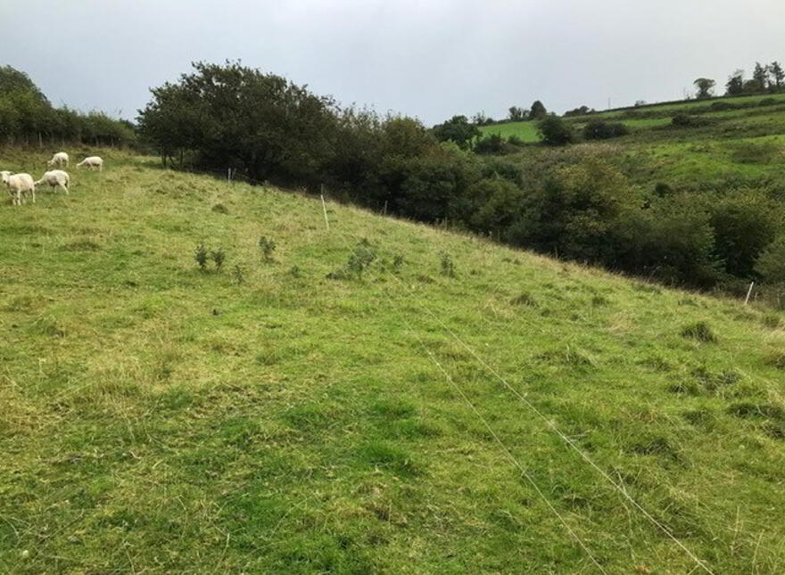 Spring Hill, Glenarm, Ballymena, BT44 0AW