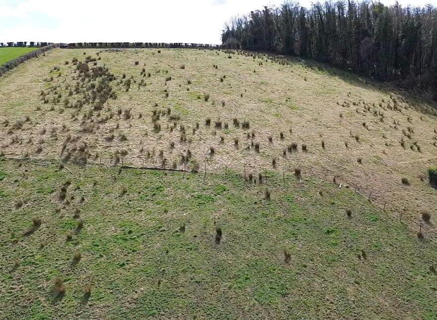 (Lot 4) Land Opposite No, 20 Dromore Road, Caledon, BT68 4XS