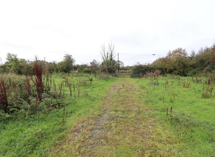 Ballinanima, Kilfinane, Circa 6.% Acres