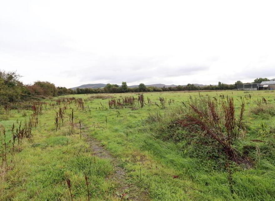 Ballinanima, Kilfinane, Circa 6.% Acres