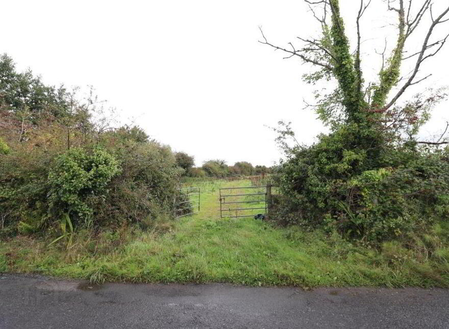 Ballinanima, Kilfinane, Circa 6.% Acres