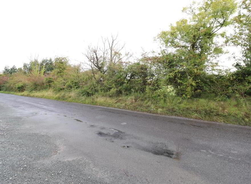 Ballinanima, Kilfinane, Circa 6.% Acres