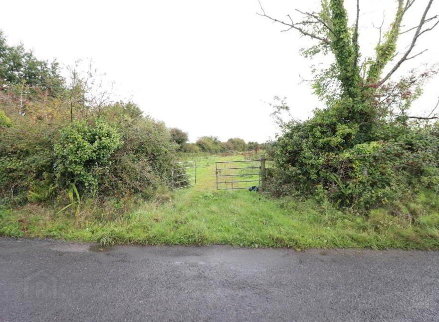 Ballinanima, Kilfinane, Circa 6.% Acres