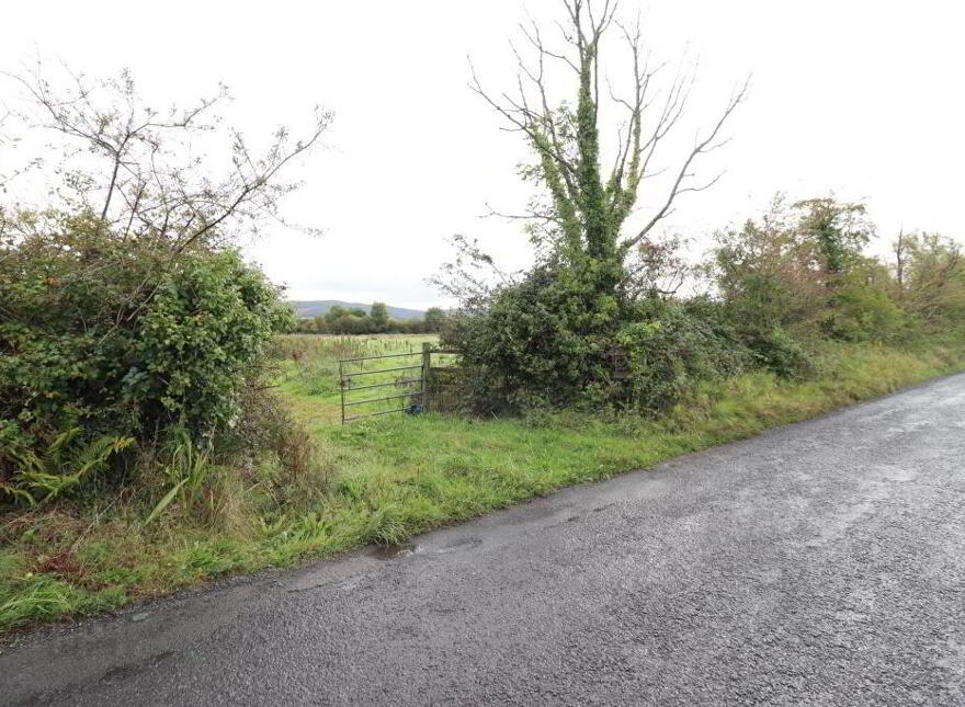 Ballinanima, Kilfinane, Circa 6.% Acres