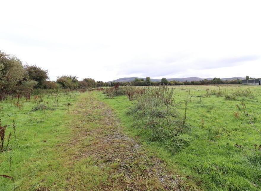 Ballinanima, Kilfinane, Circa 6.% Acres