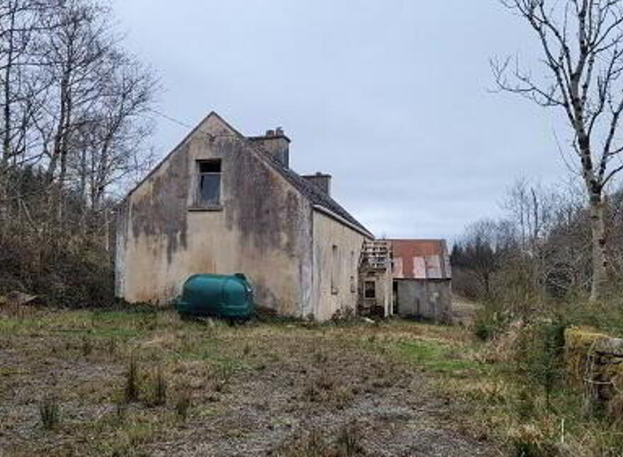 Lugnaskeehan, Killargue, F91KW44 photo