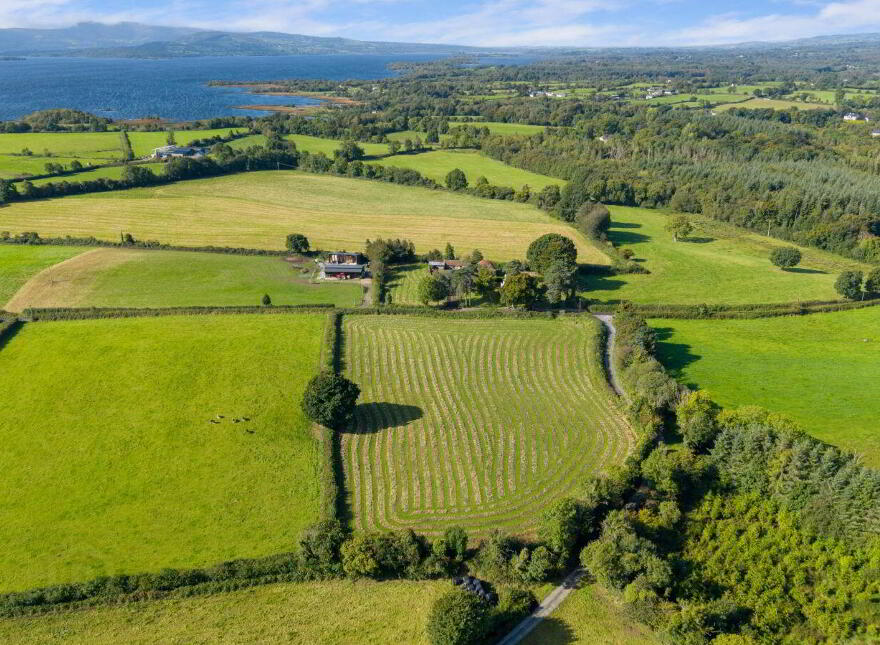 Meelick, Whitegate